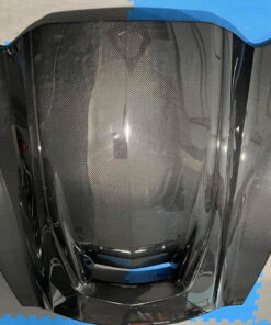 Ivan Tampi Customs XIK Carbon Fiber Hood